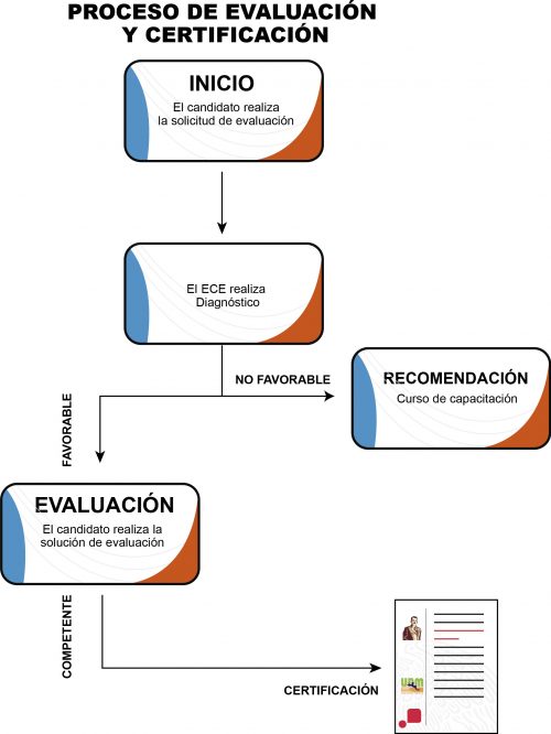 IMAGENES PAF UPM2